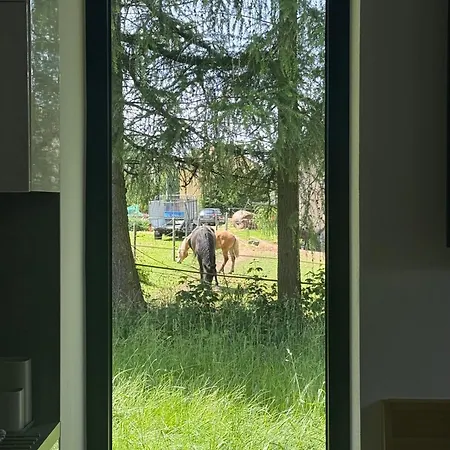V Klidu U Dolni Moravy V Prostredni Lipce Apartman *